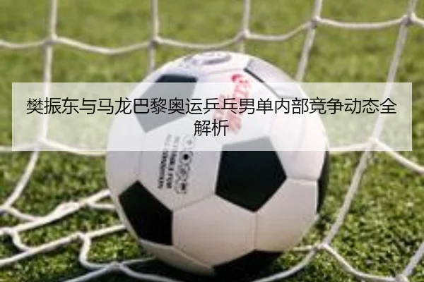 fan-zhen-dong-yu-ma-long-ba-li-ao-yun-ping-pang-nan-dan-nei-bu-jing-zheng-dong-tai-quan-jie-xi-2-161.jpg